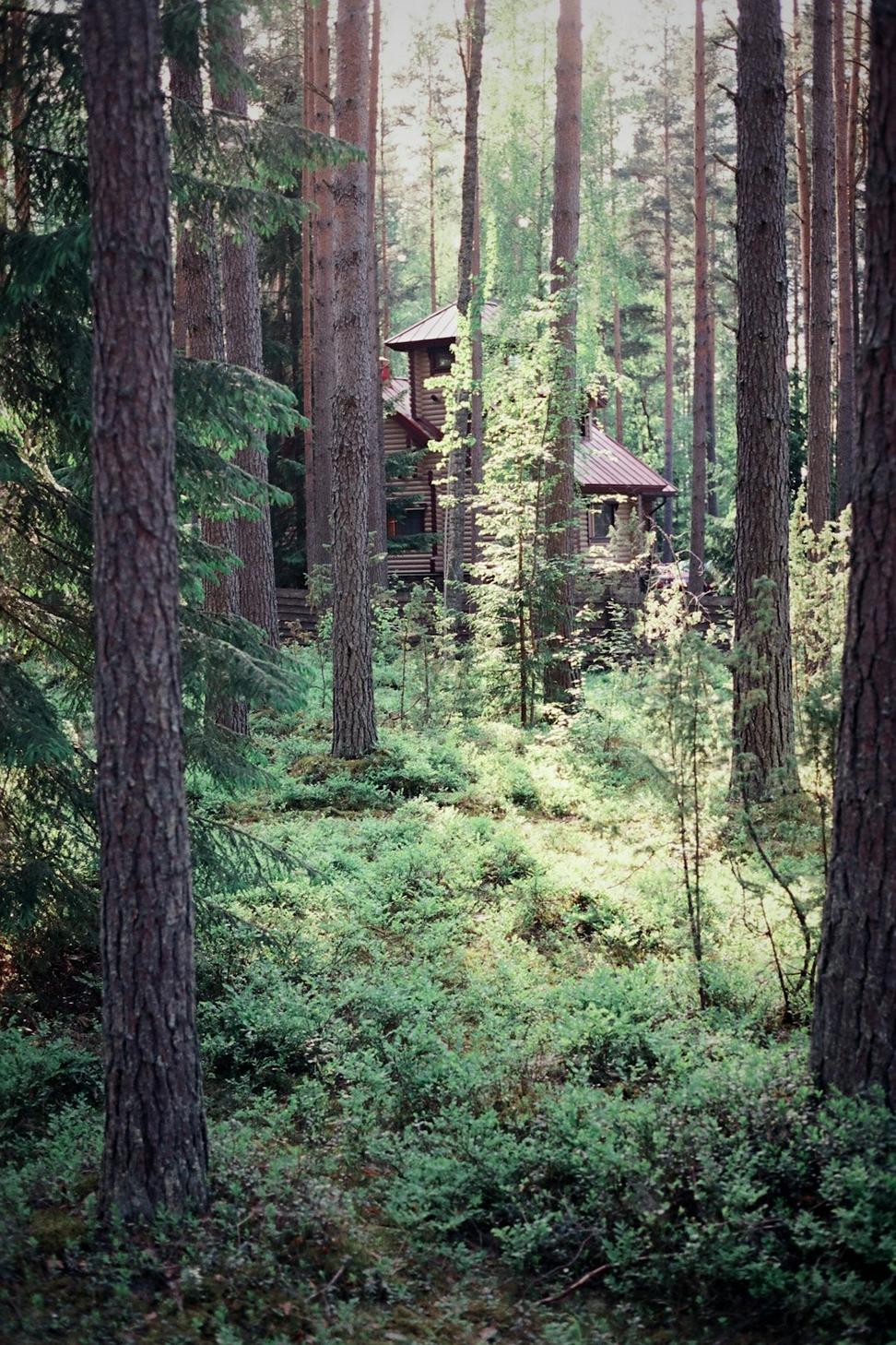 Squamish Forest Retreat